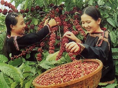 Vietnam Coffee Day - ảnh 1